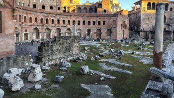 Granchi giganti ai Fori Imperiali
