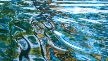 Acqua mare