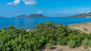 Asinara
