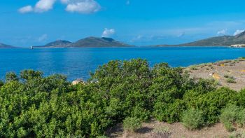 Isola dell'Asinara
