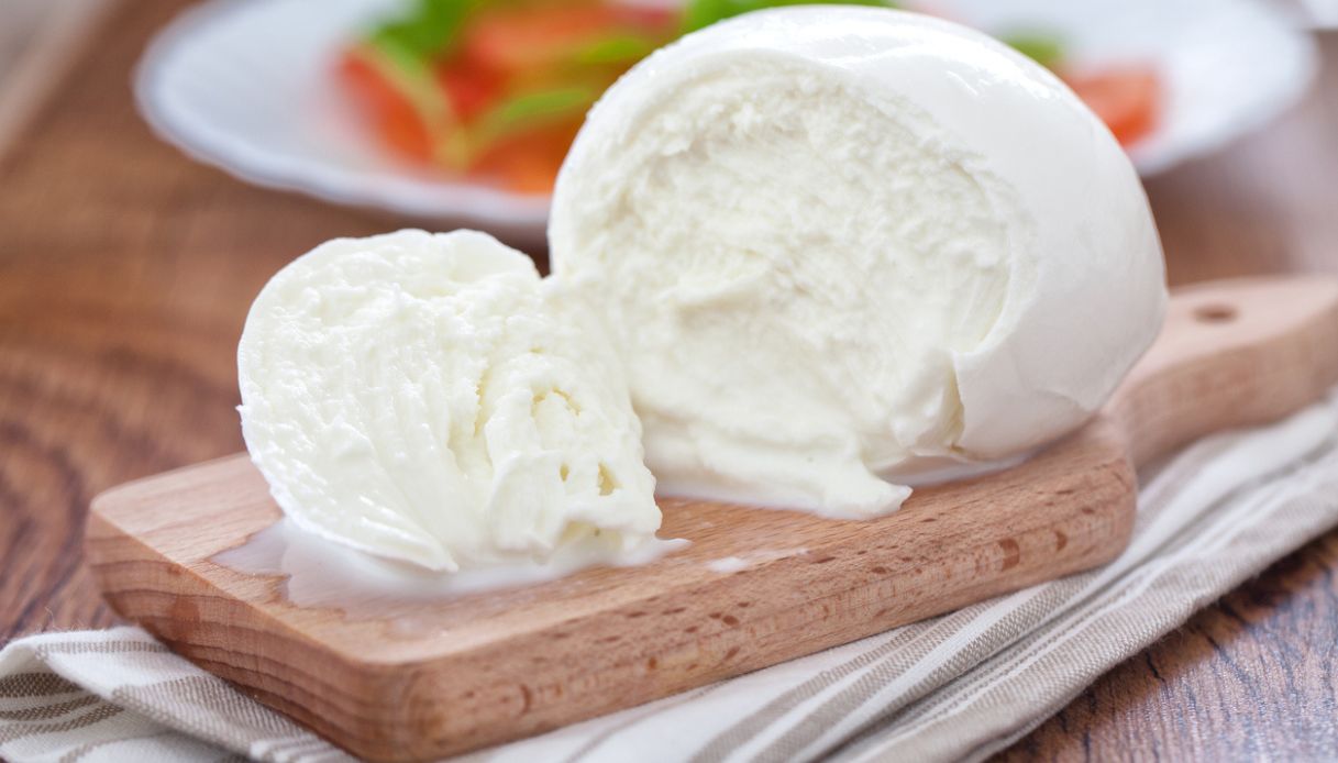 Mozzarella 