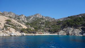 Isola di Montecristo