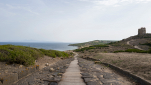 ori-sottratti-tharros-tornano-cabras