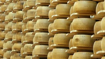 Parmigiano Reggiano