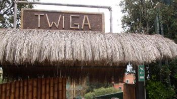Twiga in Versilia