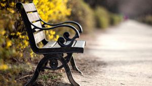 Vietato sedersi sulle panchine