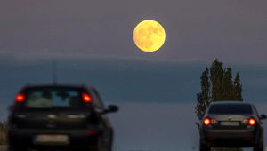 Luna del Cervo