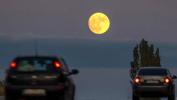 Luna del Cervo