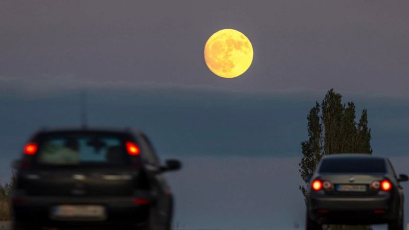 Luna del Cervo