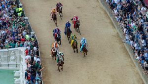 Palio Siena 2025