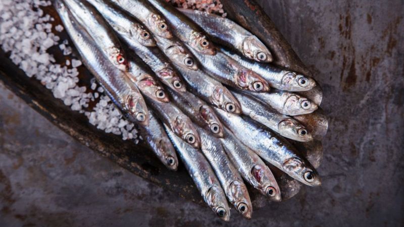 Acciughe Sciacca