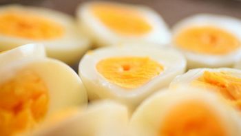 Pizza Rossini Pesaro