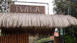 Twiga