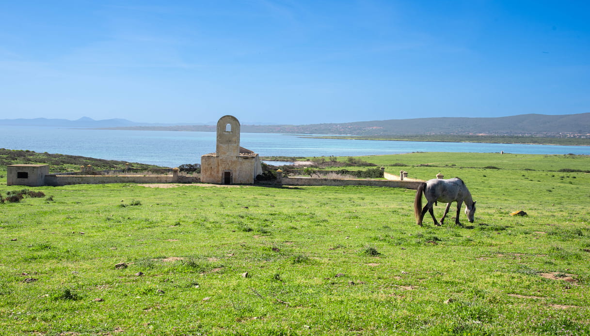 Isola dell'Asinara
