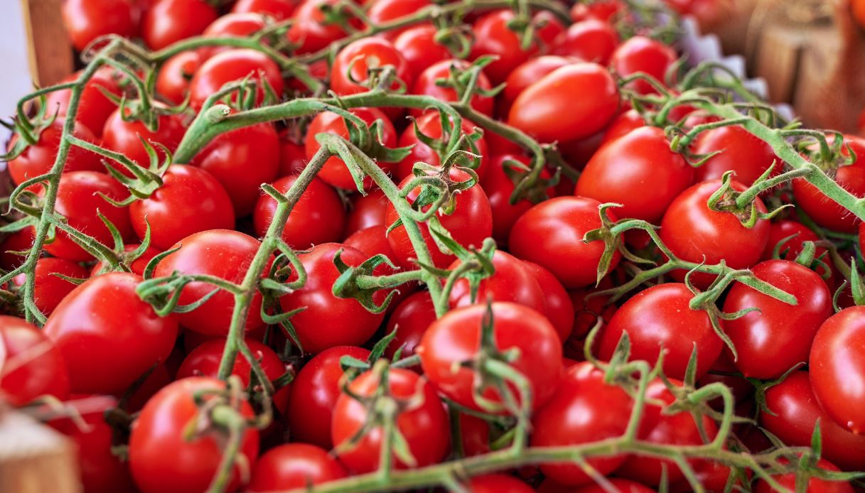 Pomodorini siciliani