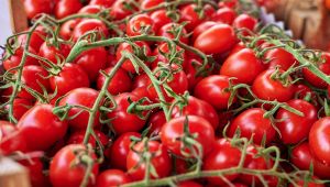 Pomodorini siciliani