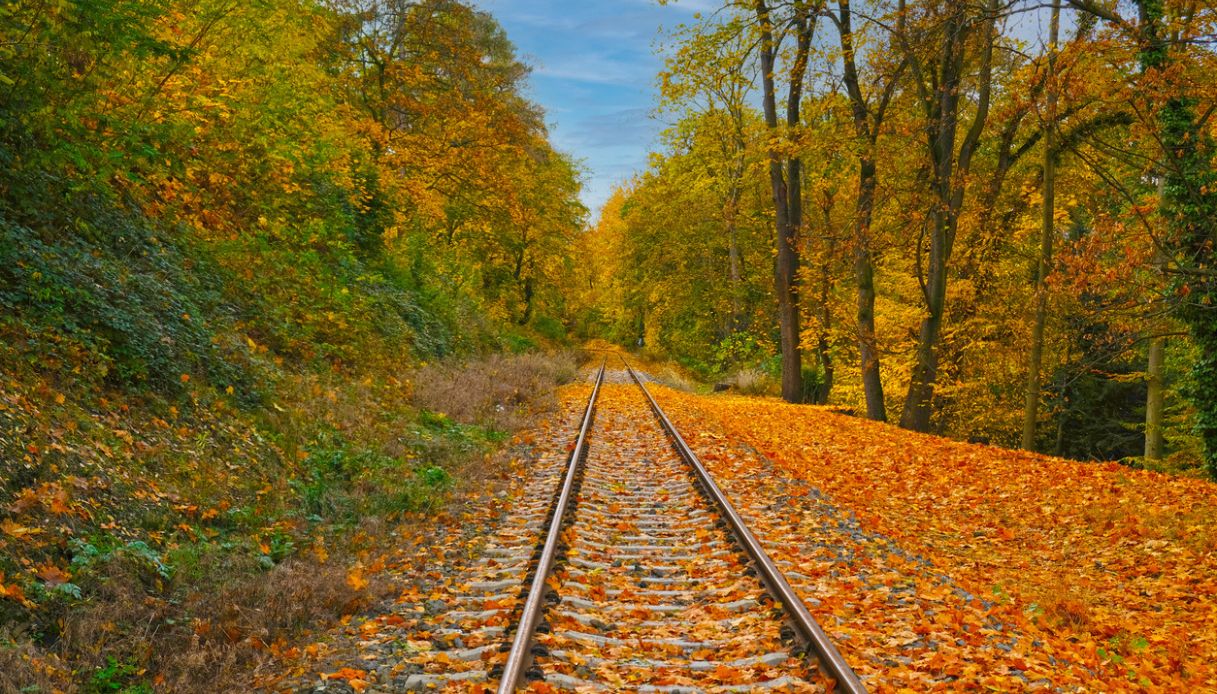 Il treno del foliage