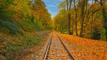 Il treno del foliage