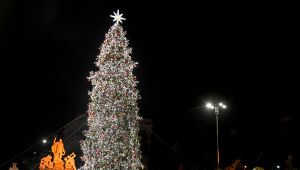 Albero di Natale piazza del Popolo