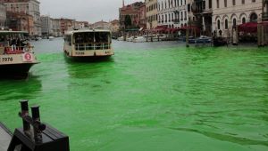 Venezia Extinction Rebellion