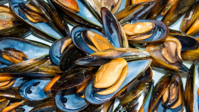 Cozze