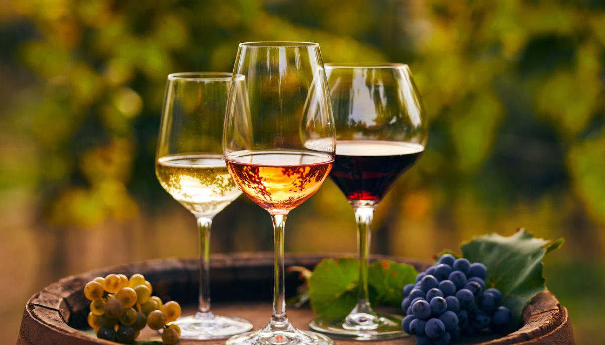 I migliori vini italiani sotto i 20 euro da regalare a Natale 2025