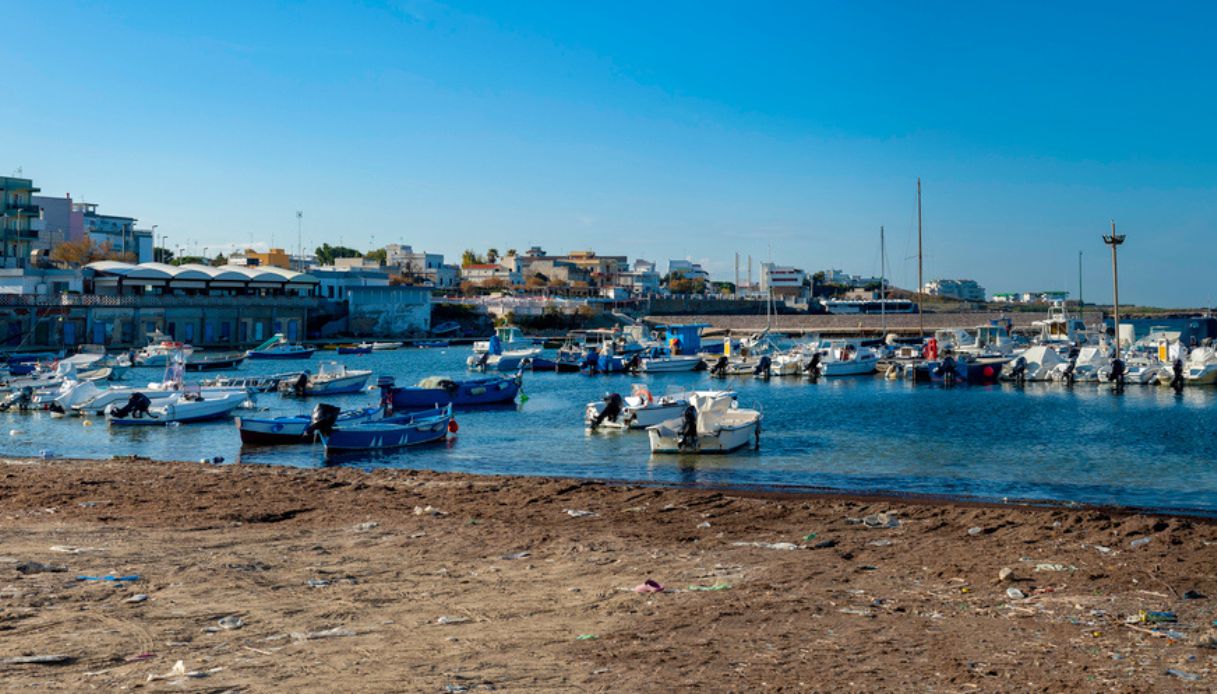 Bari Santo Spirito, migliaia di sardine spiaggiate