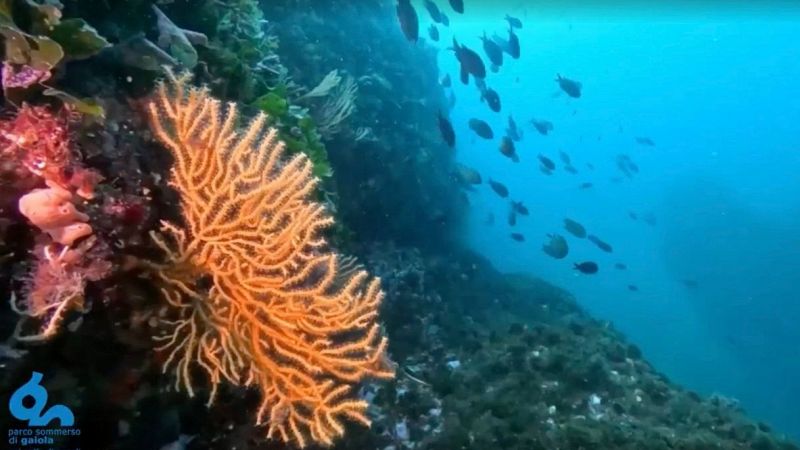 Parco Marino Sommerso di Gaiola