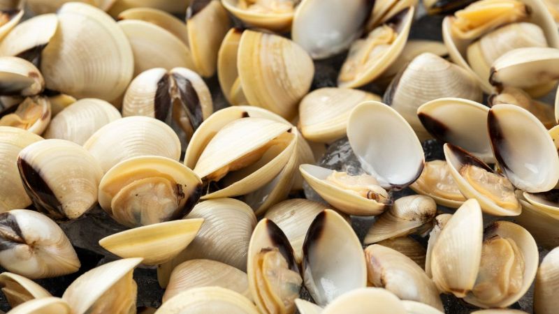 Vongole