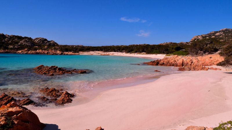 La spiaggia rosa di Budelli