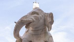 Elefantino del Bernini e non solo: gli sfregi a opere d'arte e monumenti