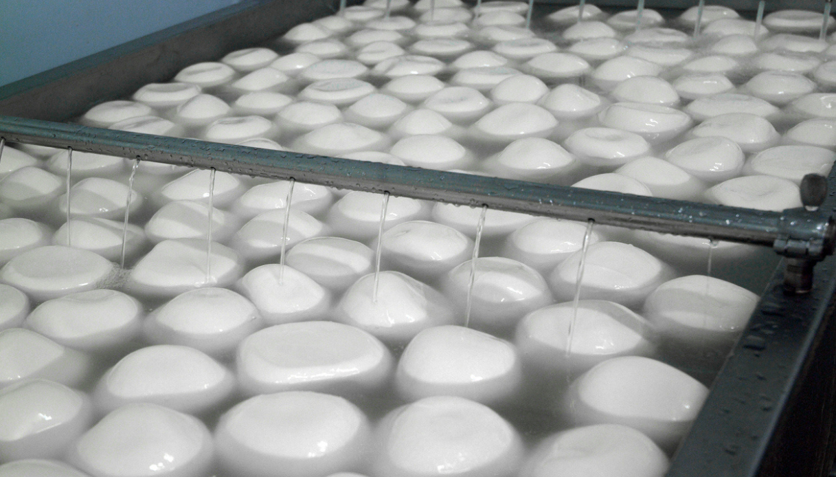 Mozzarella prodotta in mare tra Livorno e Olbia