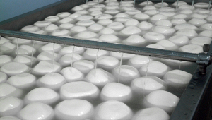 mozzarella-prodotta-in-mare-italia