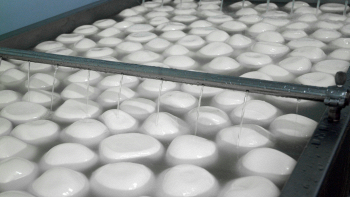 Mozzarella prodotta in mare tra Livorno e Olbia