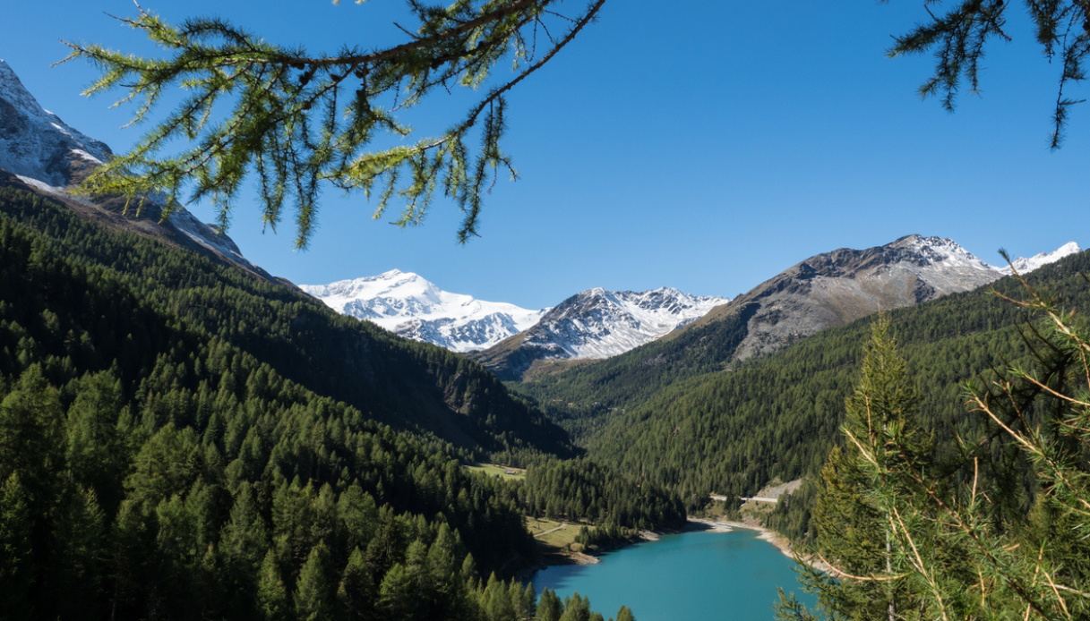 Volontari in rifugio in Val Martello gratis