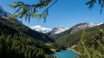 Volontari in rifugio in Val Martello gratis