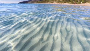 Sardegna