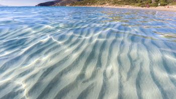 Mare Sardegna