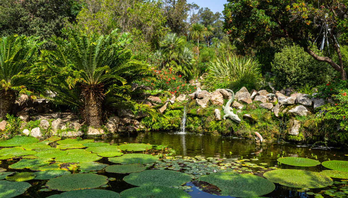 I Giardini La Mortella di Forio tra le eccellenze mondiali