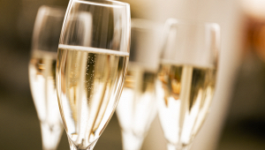 telegraph-attacco-prosecco-polemica