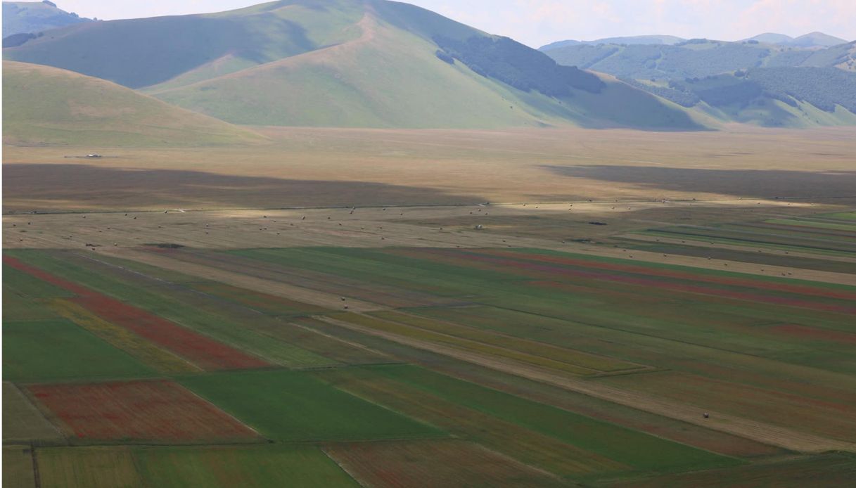 Fioritura di Castelluccio di Norcia