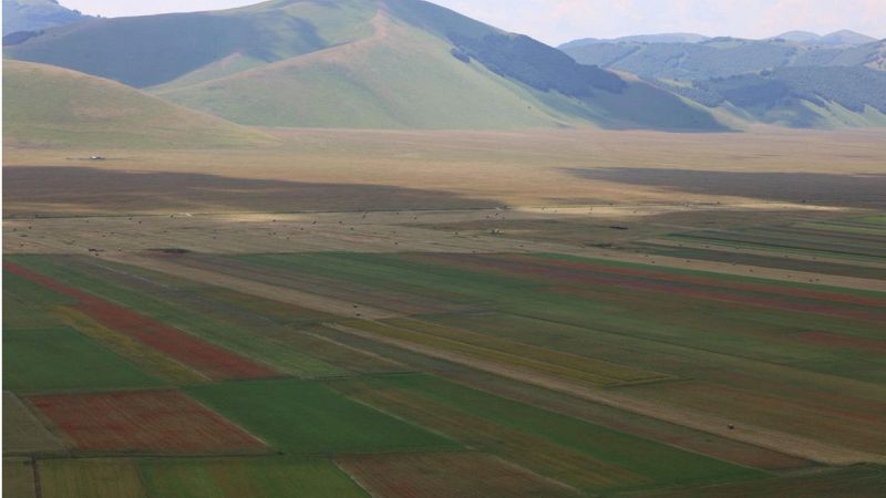 Castelluccio di Norcia durante la stagione della fioritura