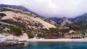 isola Montecristo