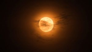 Luna delle Fragole