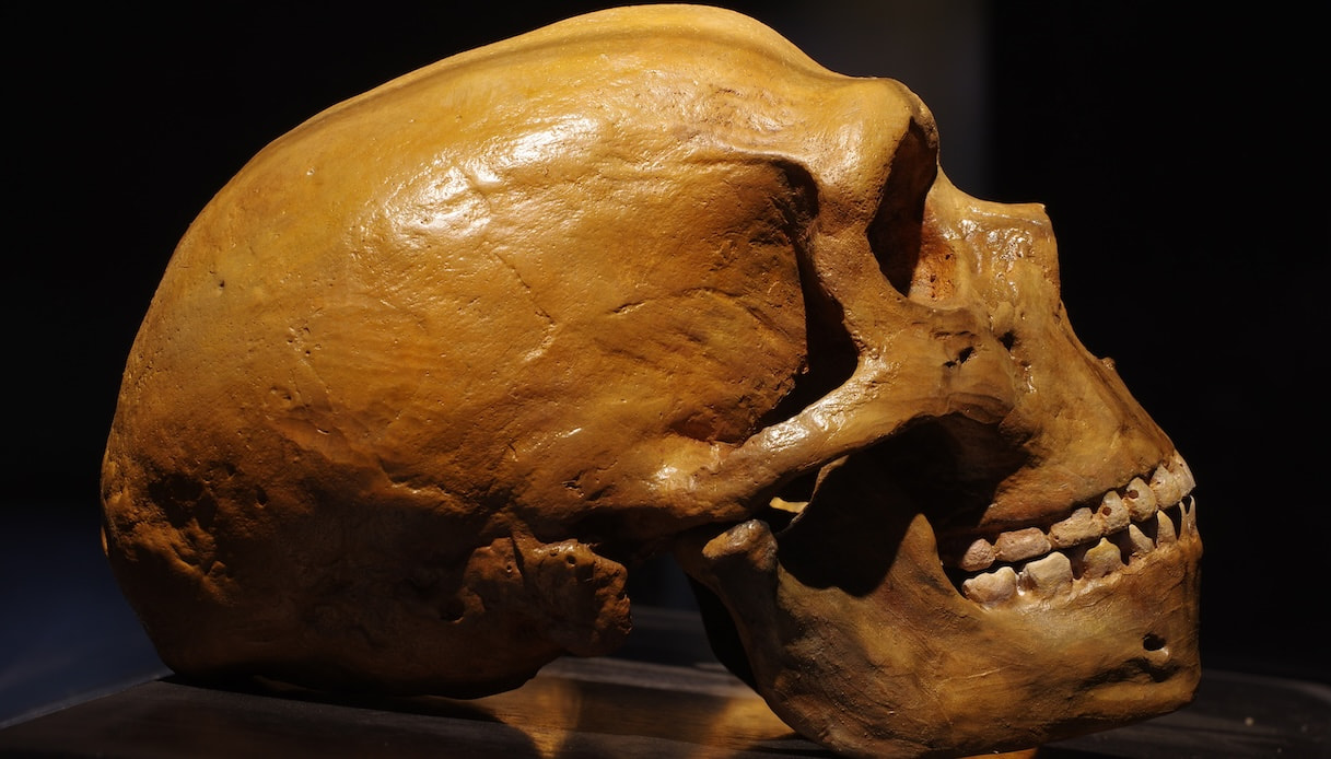 Uomo di Neanderthal