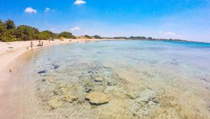Punta Prosciutto