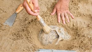 Resti archeologici