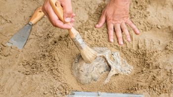 Resti archeologici