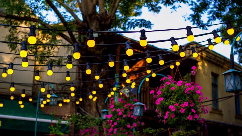 Fili di lampadine gialle sospese in un cortile all’aperto con vasi di fiori rosa e alberi sullo sfondo