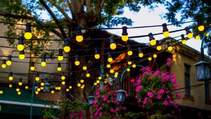 Fili di lampadine gialle sospese in un cortile all’aperto con vasi di fiori rosa e alberi sullo sfondo